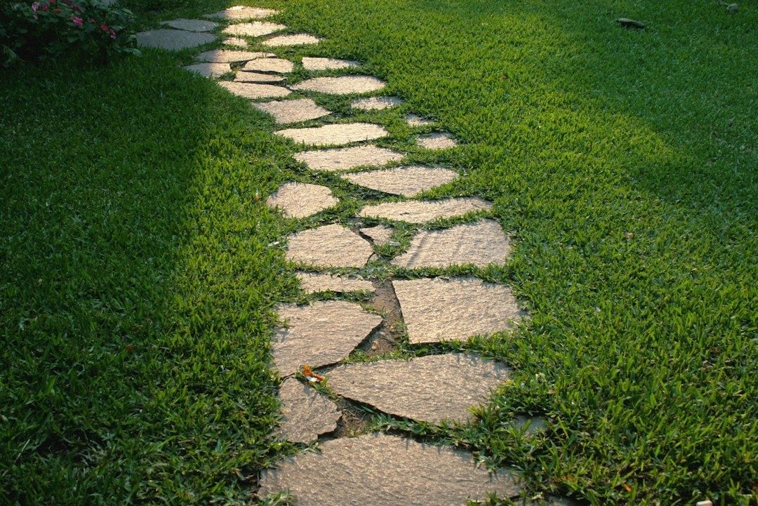 Chemin de dalles traversant une pelouse, évoquant un droit de passage